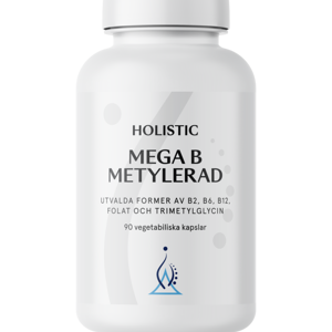 Holistic Mega B Metylerad 90 kapslar