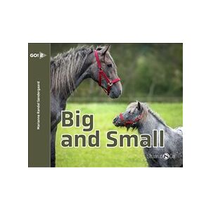 Big and Small Big and Small