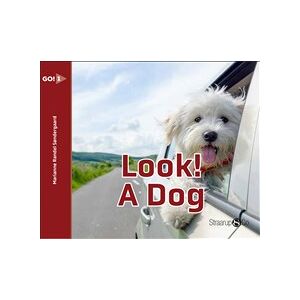 Look! A dog Look! A dog