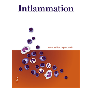 Inflammation Inflammation
