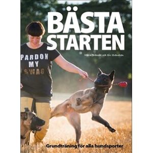 Bästa Starten Bästa Starten