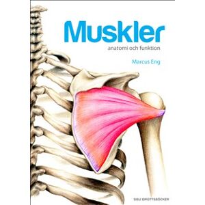 Muskler anatomi och funktion Muskler anatomi och funktion