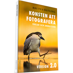 Konsten att fotografera fåglar och andra djur : version 2.0 Konsten att fotografera fåglar och andra djur : version 2.0