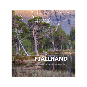 Fjällrand : de krokiga tallarnas land Fjällrand : de krokiga tallarnas land