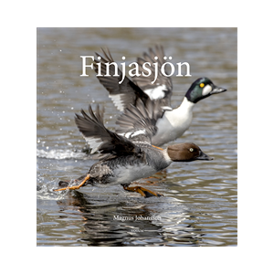 Finjasjön Finjasjön