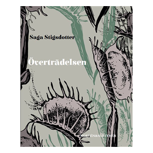 Överträdelsen Överträdelsen