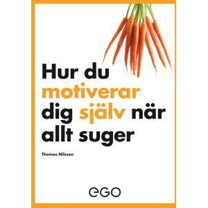 Hur du motiverar dig själv när allt suger Hur du motiverar dig själv när allt suger