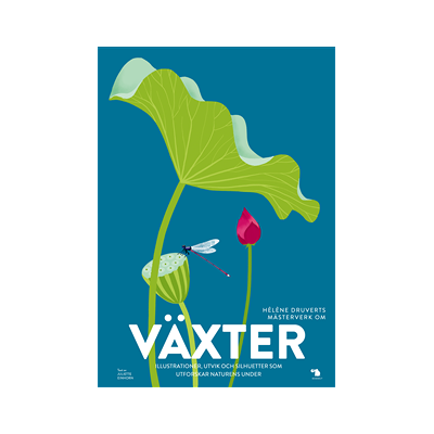 Växter Växter