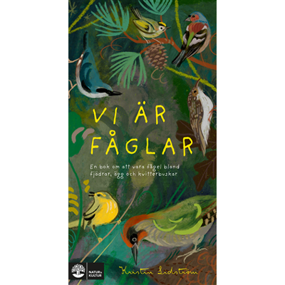 Vi är fåglar : en bok om att vara fågel bland fjädrar, ägg och kvitterbuskar Vi är fåglar : en bok om att vara fågel bland fjädrar, ägg och kvitterbuskar