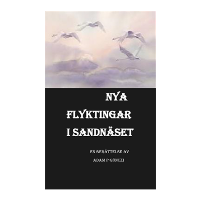 Nya flyktingar i Sandnäset Nya flyktingar i Sandnäset