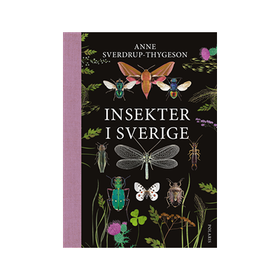Insekter i Sverige Insekter i Sverige