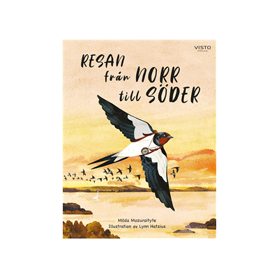 Resan från norr till söder Resan från norr till söder