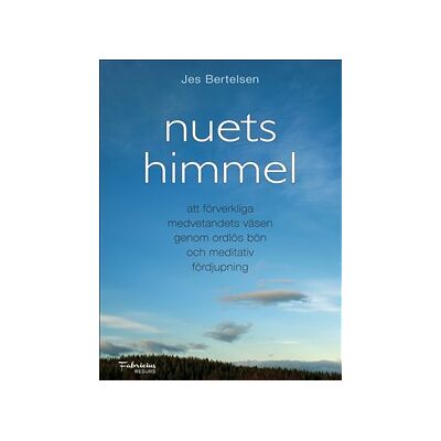 Nuets himmel : att förverkliga medvetandets väsen genom ordlös bön och meditativ fördjupning Nuets himmel : att förverkliga medvetandets väsen genom ordlös bön och meditativ fördjupning