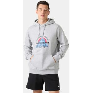 Helly Hansen Men's Core Graphic Hoodie Grå 2XL Navy Marinblå2XL Helly Hansen Men's Core Graphic Hoodie Grå 2XL Navy Marinblå2XL