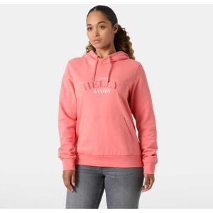 Helly Hansen Women's Core Graphic Hoodie Rosa L Cream VitL Helly Hansen Women's Core Graphic Hoodie Rosa L Cream VitL