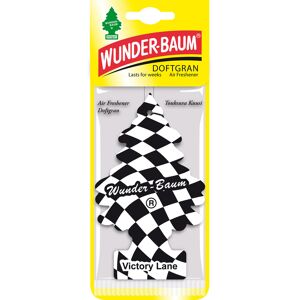 Doftgran Wunder-Baum, victory lane, 1-pack