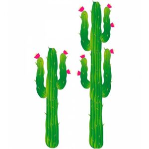 Kaktus dekor