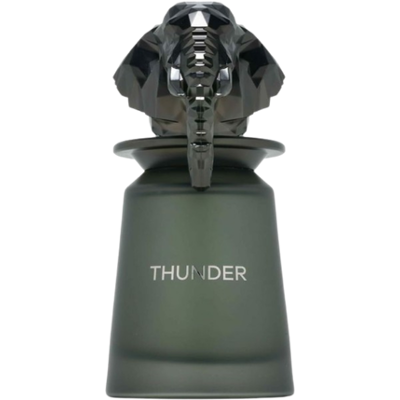 French Avenue Thunder Unisex Eau De Parfum - 100 ml French Avenue Thunder Unisex Eau De Parfum - 100 ml