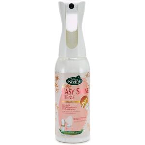 Easy Shine RAVENE Intense Detanglerspray 500 ml