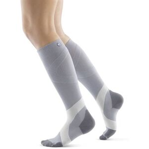 Bauerfeind Compression Sock Training Silver Polar L - Long