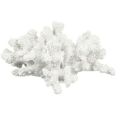 Newport Audette korall vit Newport Audette korall vit