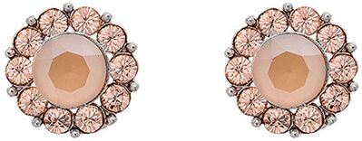Lily And Rose Miss Sofia örhängen oyster Lily And Rose Miss Sofia örhängen oyster