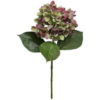 Newport Hortensia konstblomma - Vino Röd/Grön - Konstblomma Newport Hortensia konstblomma - Vino Röd/Grön - Konstblomma