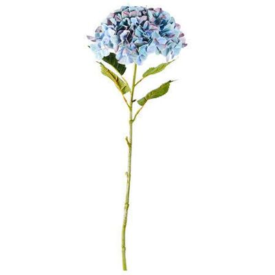 Newport Hortensia snittblomma blå Newport Hortensia snittblomma blå