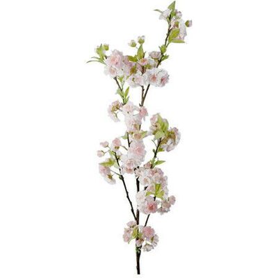 Newport Körsbär snittblomma rosa Newport Körsbär snittblomma rosa