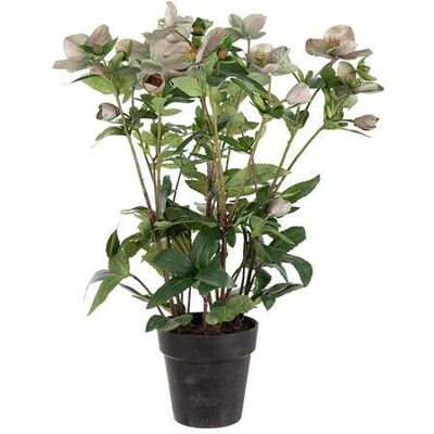 Newport Julros konstväxt rosa Newport Julros konstväxt rosa