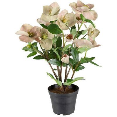 Newport Julros konstväxt rosa Newport Julros konstväxt rosa