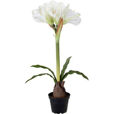 Newport Amaryllis konstväxt vit Newport Amaryllis konstväxt vit