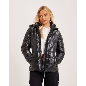 Calvin Klein - Jackor - Black - Essential Recycled Padded Jacket - Jackor & Kappor - Jackets Medium Black female