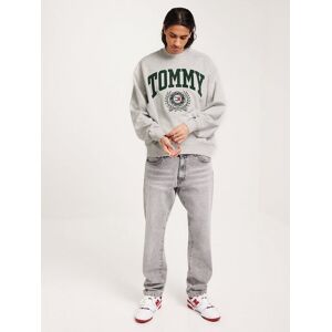 Tommy Jeans Tjm Boxy College Graphic Crew Tröjor Silver Grey