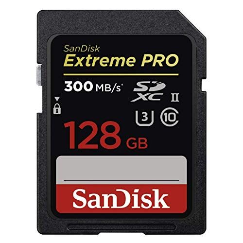 SDSDXPK-128G-GN4IN SanDisk  Minneskort, 128 GB, Svart