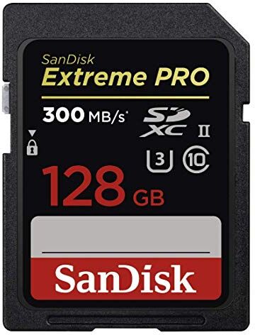 SDSDXPK-128G-GN4IN SanDisk  Minneskort, 128 GB, Svart