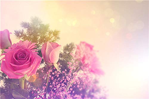 BEFUSC9444 Foto bakgrund tyg bokeh blomma bakgrund foto monter bakgrundsskärm för fotografi fest bakgrund barn vuxna väggmonterad fotografi bakgrund fotografi BEFUSC9444 Foto bakgrund tyg bokeh blomma bakgrund foto monter bakgrundsskärm för fotografi fest bakgrund barn vuxna väggmonterad fotografi bakgrund fotografi