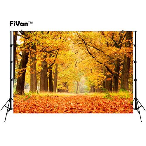 FUS-XT5948-7x5ft Höstlöv gata halloween foto bakgrund fotograferingsbakgrunder för hemmafest dekoration eller foto studiobilder XT5948 FUS-XT5948-7x5ft Höstlöv gata halloween foto bakgrund fotograferingsbakgrunder för hemmafest dekoration eller foto studiobilder XT5948