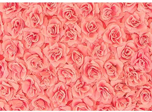 NAT-CH-6434 Fotografi bakgrund vinyl rosa blommor långvarig hållbarhet bröllop bakgrund tapeter väggkonst födelsedagsfester bakgrund fotografi utomhus bröllop fotografi bakgrund NAT-CH-6434 Fotografi bakgrund vinyl rosa blommor långvarig hållbarhet bröllop bakgrund tapeter väggkonst födelsedagsfester bakgrund fotografi utomhus bröllop fotografi bakgrund