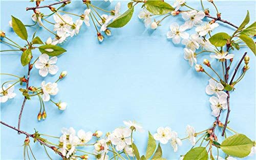 BEFUSC9541 Fotografi bakgrund bakgrund vita blommor träskiva foto bakgrund tyg hopfällbar fotografi bakgrund baby foto studio bakgrund 3D bakgrund vägg bakgrund fotografi fågel BEFUSC9541 Fotografi bakgrund bakgrund vita blommor träskiva foto bakgrund tyg hopfällbar fotografi bakgrund baby foto studio bakgrund 3D bakgrund vägg bakgrund fotografi fågel