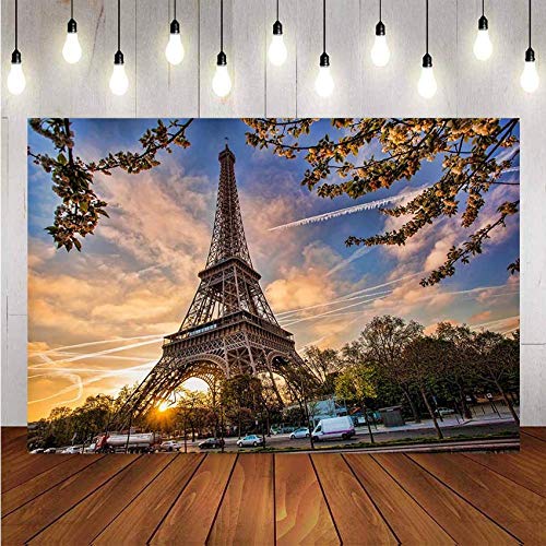 NAT-CH-5894 Fotograferingsbakgrunder vinyl Eiffeltornet skrynkelbeständigt bröllop bakgrund tapeter dekoration bakgrund väggfestivaler fotostudio ta bilder bakgrund vikbar och rullningsbar