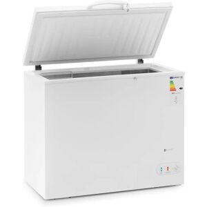 Frysbox - 190 L - Royal Catering - 58 W