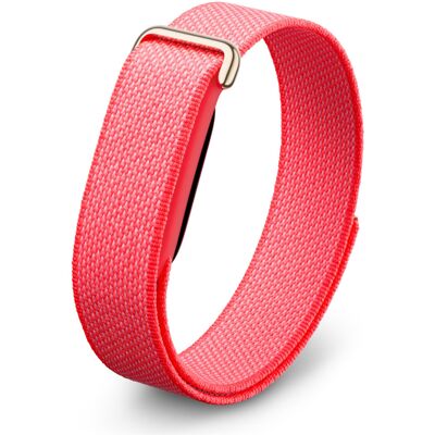 Google Fitbit Air Berry Google Fitbit Air Berry
