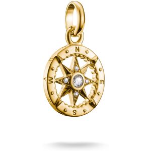 Thomas Sabo Charm Club Connect compass berlock CC1261-414-14