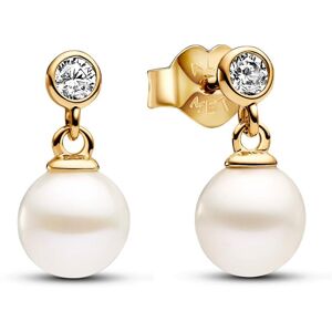 Pandora Timeless two-stone drop 14k gold-plated pärlörhängen 263153C01