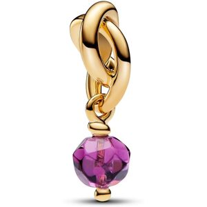 Pandora Moments 14k Gold-plated berlock with sweet grape purple crystal 763462C02 Pandora Moments 14k Gold-plated berlock with sweet grape purple crystal 763462C02