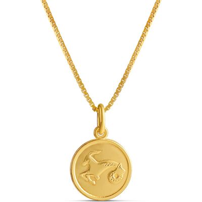 Top Gold förgyllt silver Stenbocken horoskop hängsmycke med kedja 45cm 52 5701 0000 Top Gold förgyllt silver Stenbocken horoskop hängsmycke med kedja 45cm 52 5701 0000