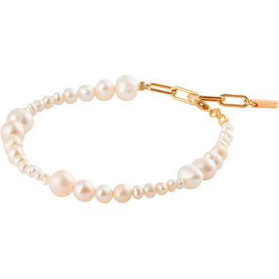 Sparv First Choice guld armband 2340101 Sparv First Choice guld armband 2340101