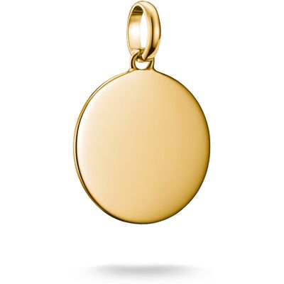 Thomas Sabo Charm Club Connect large coin berlock CC1273-413-39 Thomas Sabo Charm Club Connect large coin berlock CC1273-413-39
