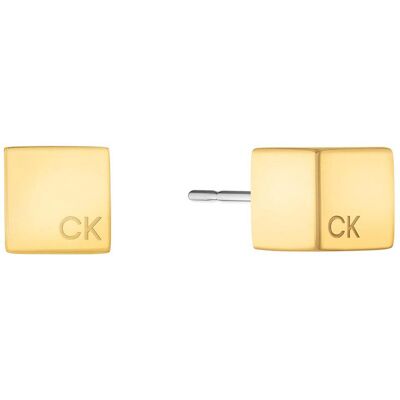 Calvin Klein Meridian örhängen 35000246 Calvin Klein Meridian örhängen 35000246